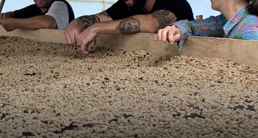 Coffee in Parchment